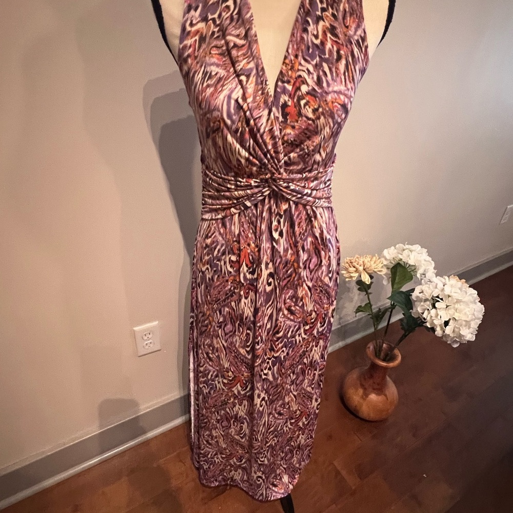 Veronica M Purple and Brown Maxi Dress